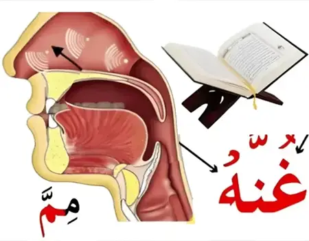 Shia hoza Quran with Tajweed course